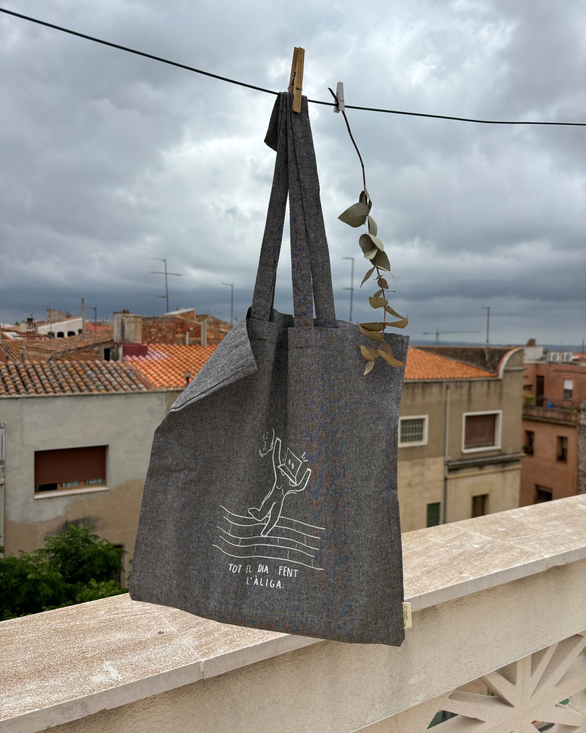Baixada de l'àliga - 2